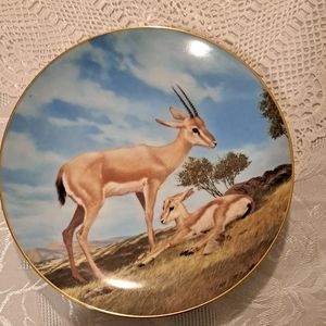 Decorator plate